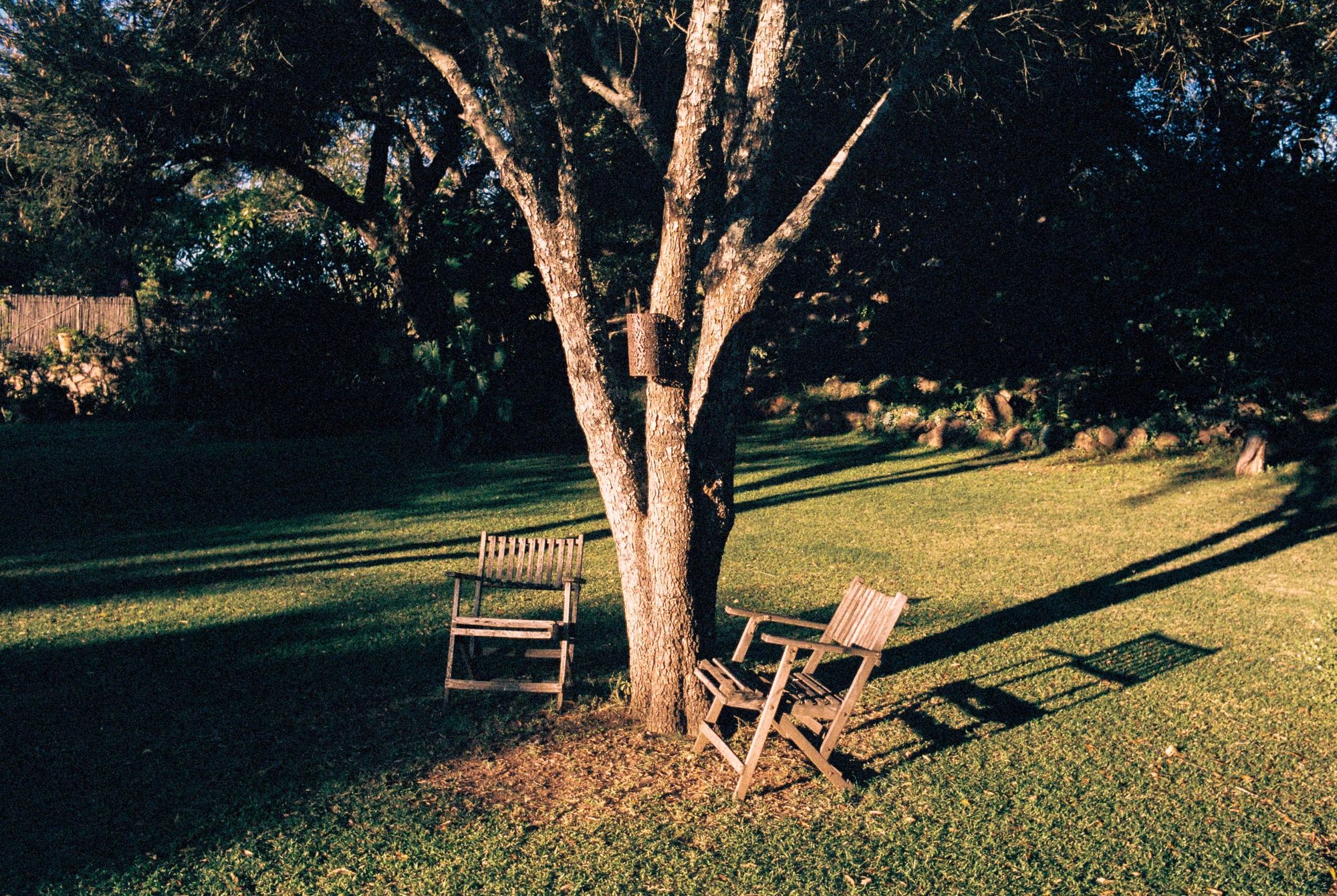 Placeholder alt text for Belonging, image 1 — replace with a real description.