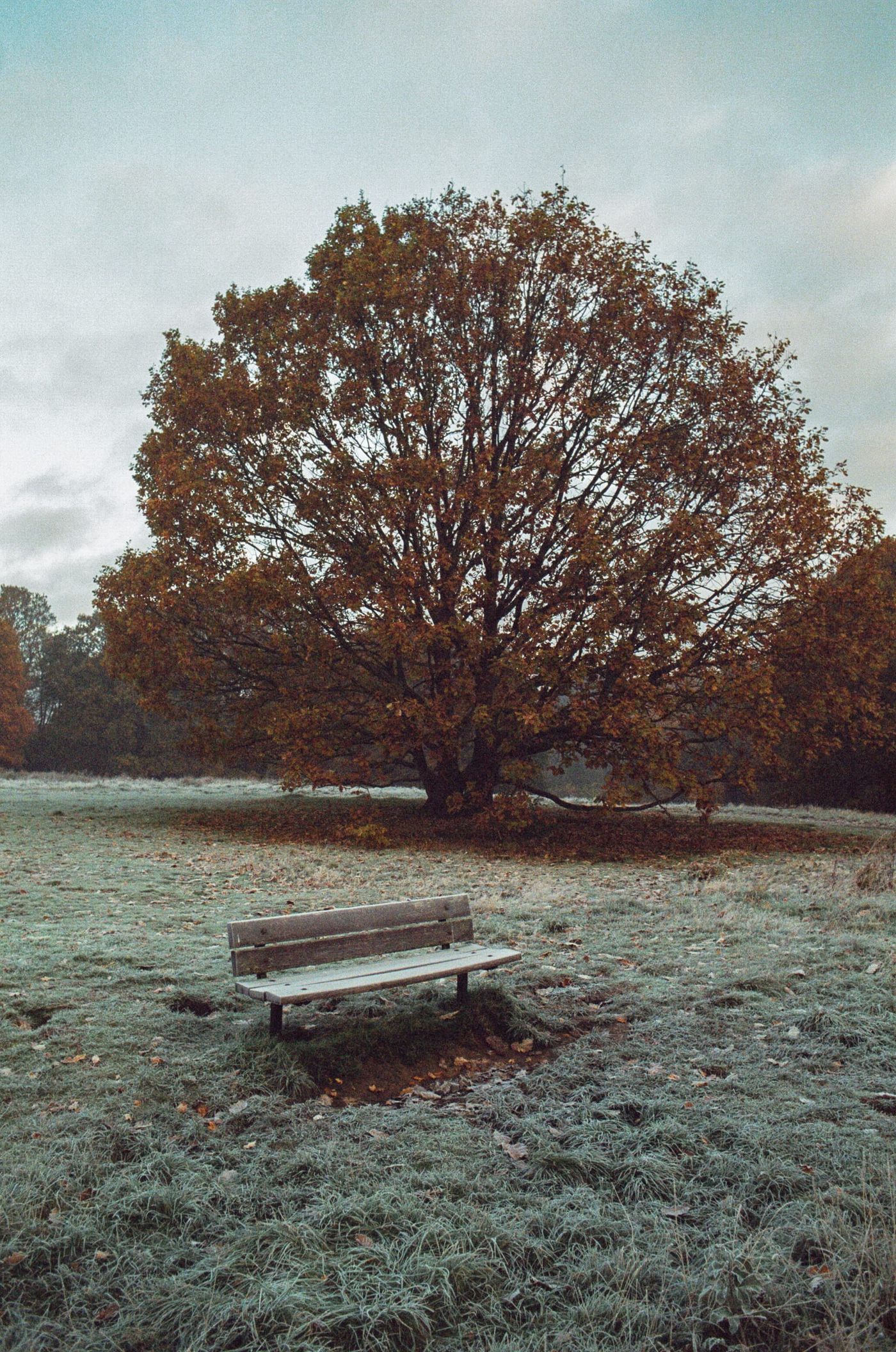 Placeholder alt text for Places, image 5 — replace with a real description.